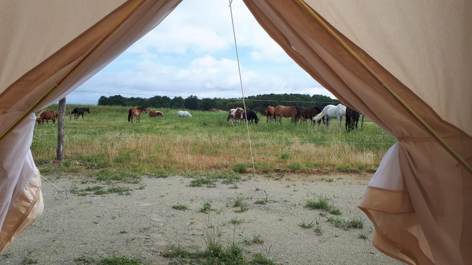 Centre Equestre D'Azay Le Rideau Hotell Rom bilde